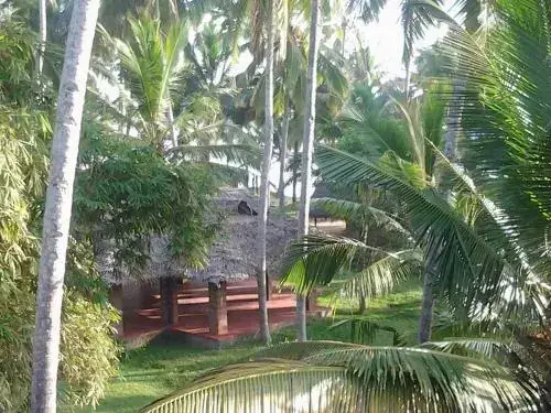 Варкала: Mektoub Beach Resort
