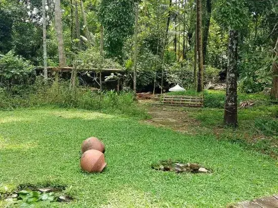 Cherthala: Raindrops Heritage Homestay