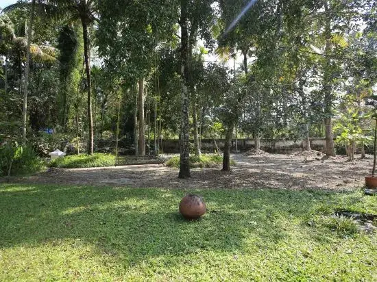 Cherthala: Raindrops Heritage Homestay