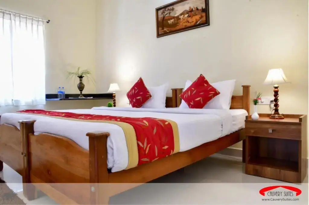 Мадикери: Cauvery Suites