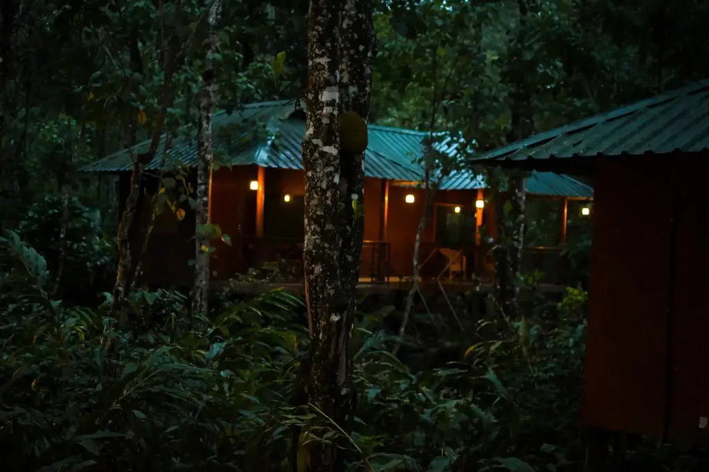 Куттикканам: Monsoon Retreats