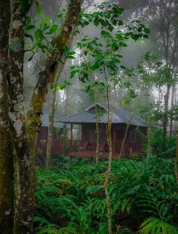 Куттикканам: Monsoon Retreats