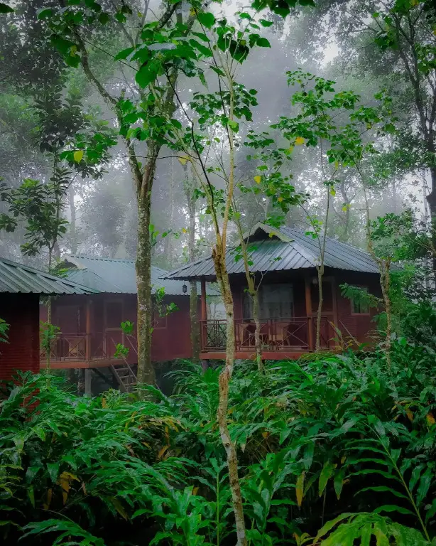 Куттикканам: Monsoon Retreats