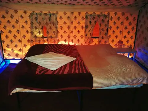 TIH Pangong Delight Camps and Cottages — фото 1