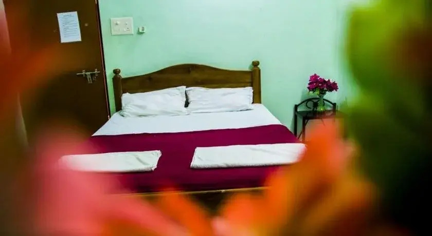 Южный Гоа: Dio's Guest House