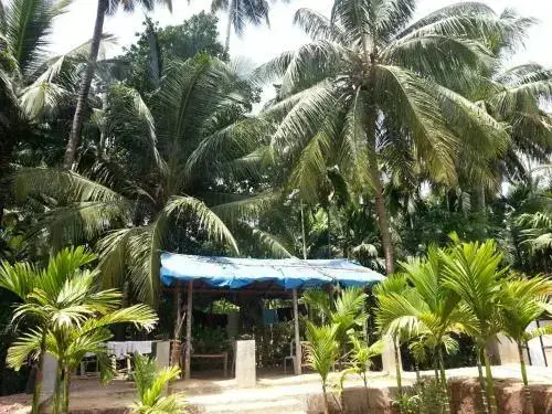 Муруд: Tendulkar Beach Resort