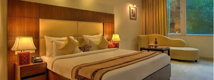 Нью-Дели: Hotel Regent Intercontinental