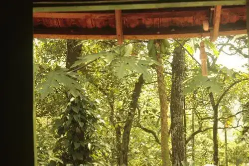 Куттикканам: Verdant Vagamon