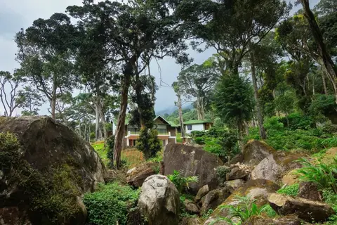 Neelakurunji Plantation Munnar — фото 1