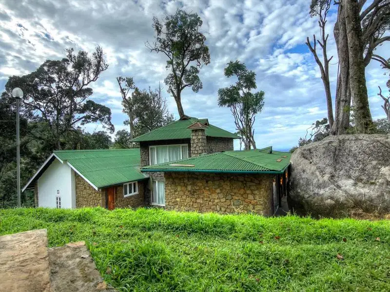 Муннар: Neelakurunji Plantation Munnar