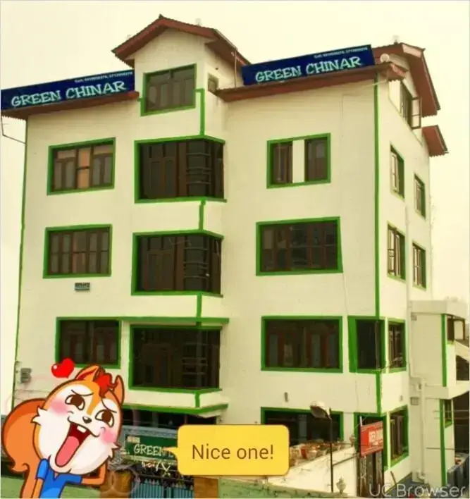 Шринагар: Hotel Green Chinar