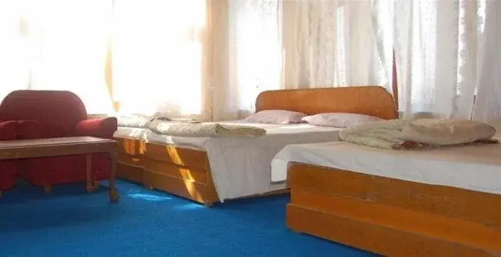 Шринагар: Hotel Green Chinar