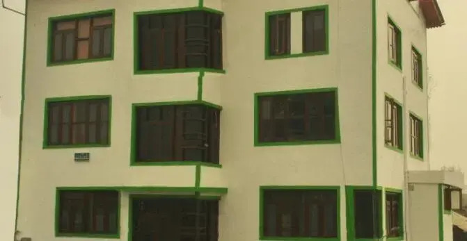 Hotel Green Chinar — фото 1