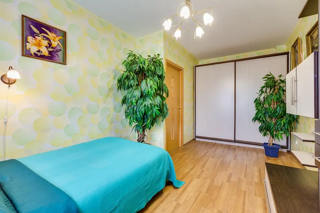 Санкт-Петербург: Трехместные Апартаменты Like Home Aparts Фермское шоссе 32