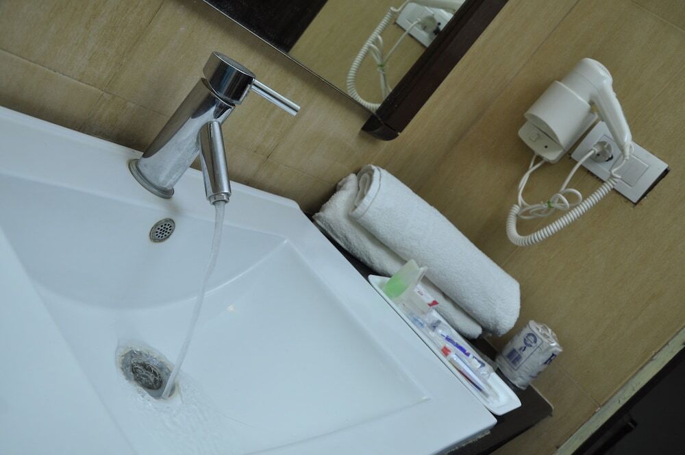 Тирруччираппалли: Hotel Shaans