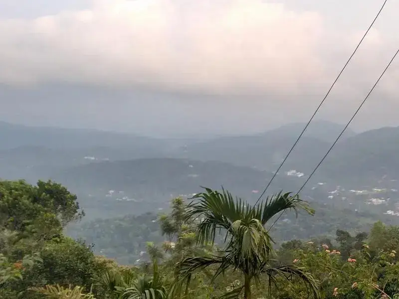 Куттикканам: Cardamom Village Plantation Homestay