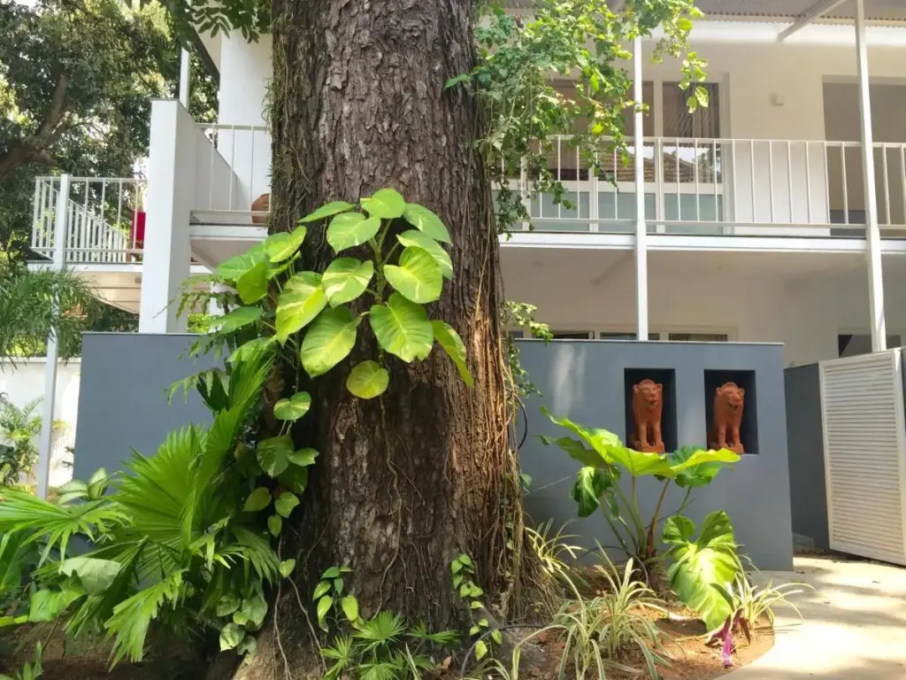 Коччи: Trinity At Fort Cochin
