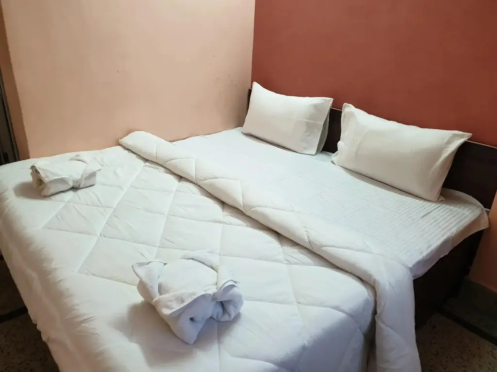 Ganga Guest House — фото 1