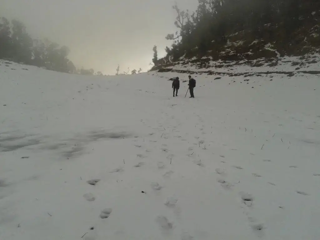 High Mountain Trekking Camp — фото 1