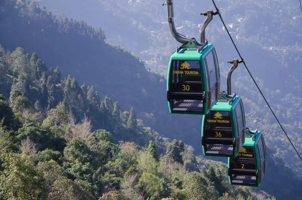 Пеллинг: Hotel Dhondup Khangsar