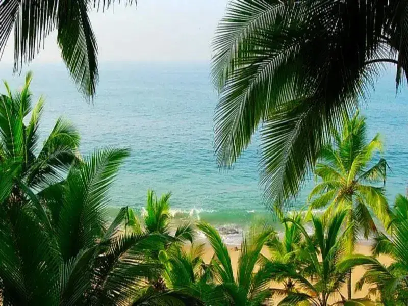 Ковалам: Paradise Gardens Beach Resort