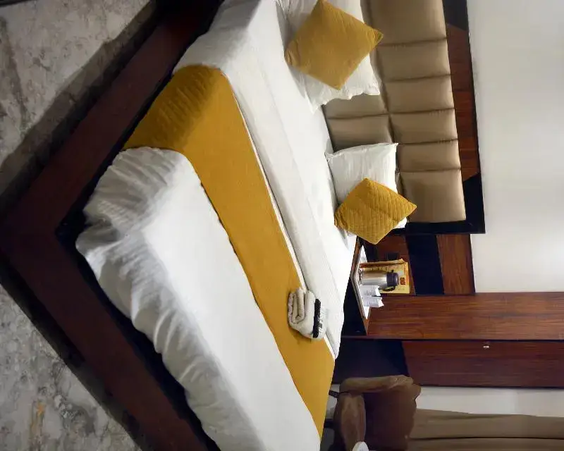 Нью-Дели: Hotel Delhi Empire dx