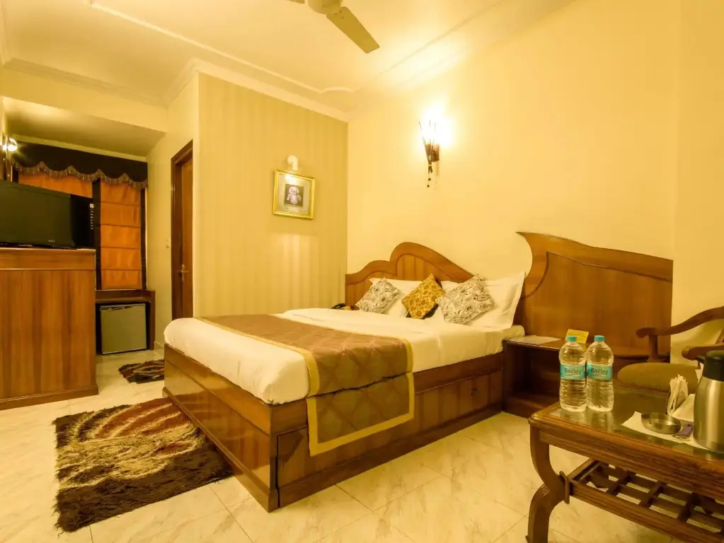 Нью-Дели: Hotel C Park Inn