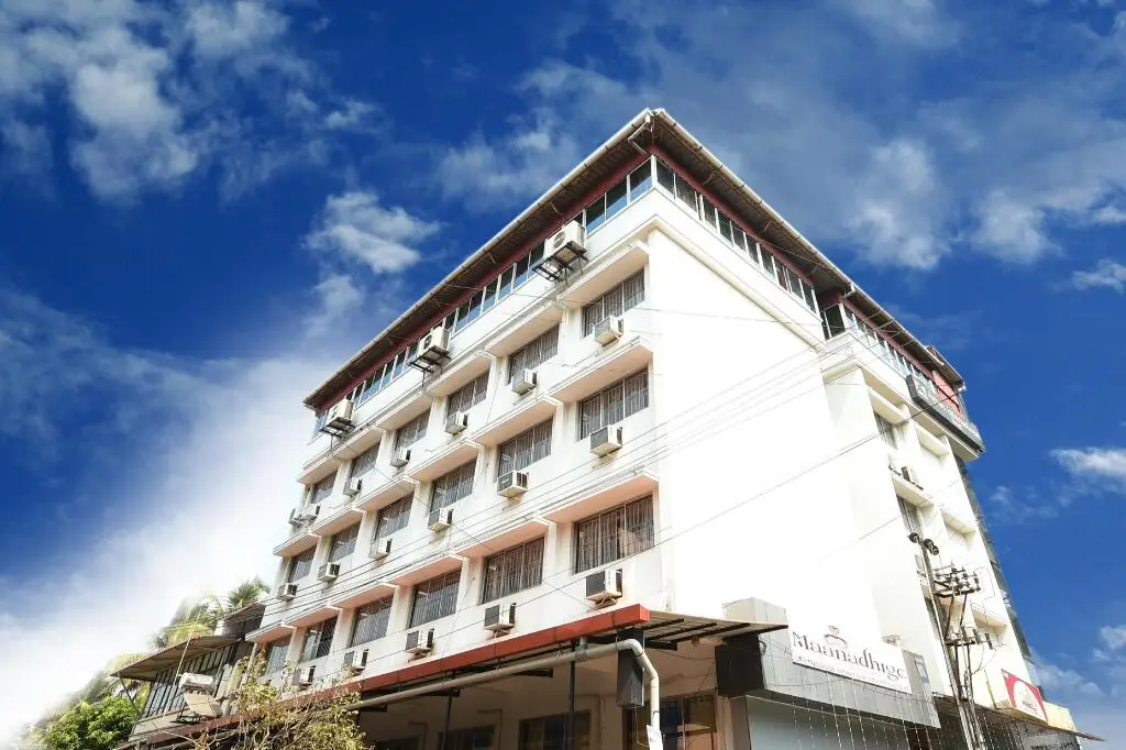 Ayush International Hotel — фото 1