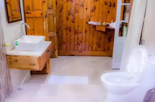 Наинитал: Fredy's Bungalow near Nainital