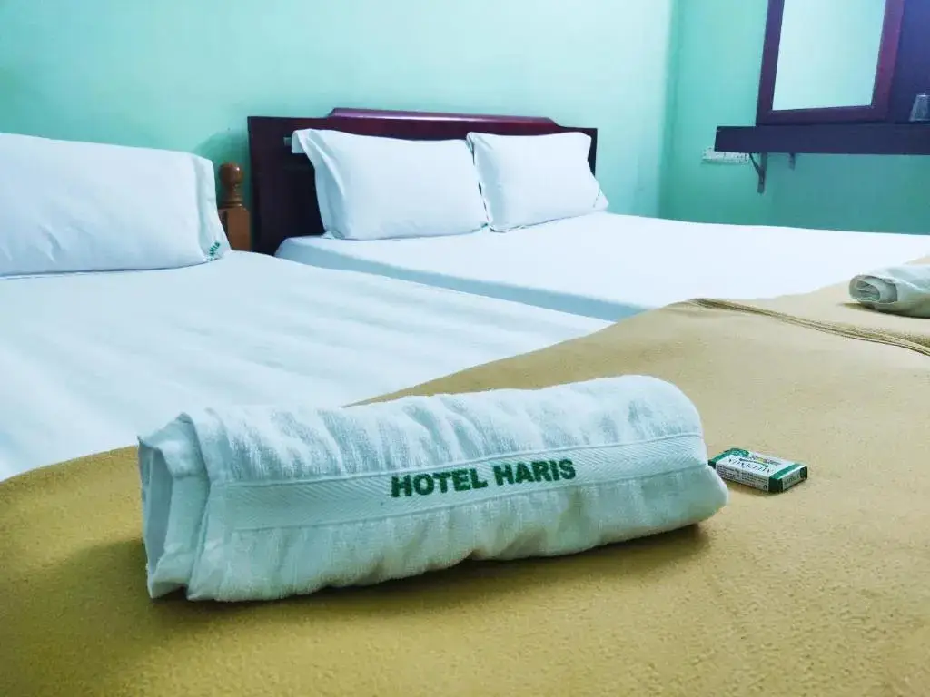 Рамешварам: Hotel Harish