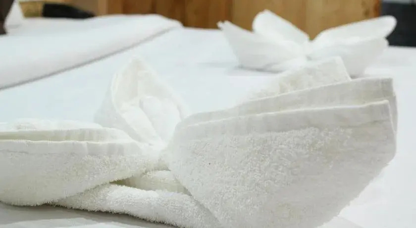 Манали: Hotel Morning Star