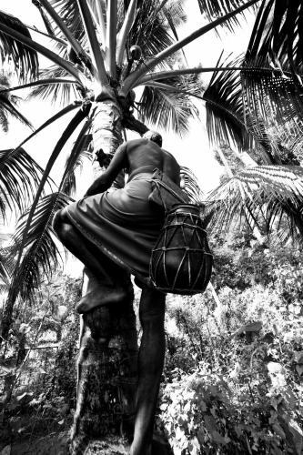 Cherthala: Kayal Island Retreat