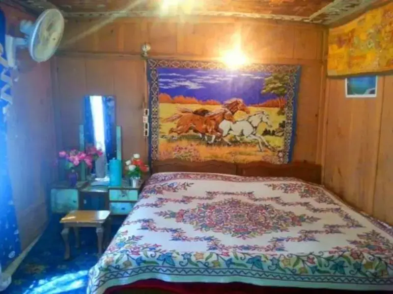 Шринагар: New Retreet Houseboat