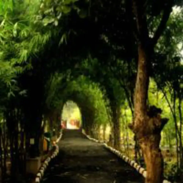 Панпата: Lemon Tree Wildlife Resort, Bandhavgarh