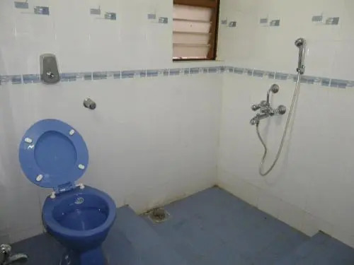 Colva Beach Bon Vivant Guest House — фото 1