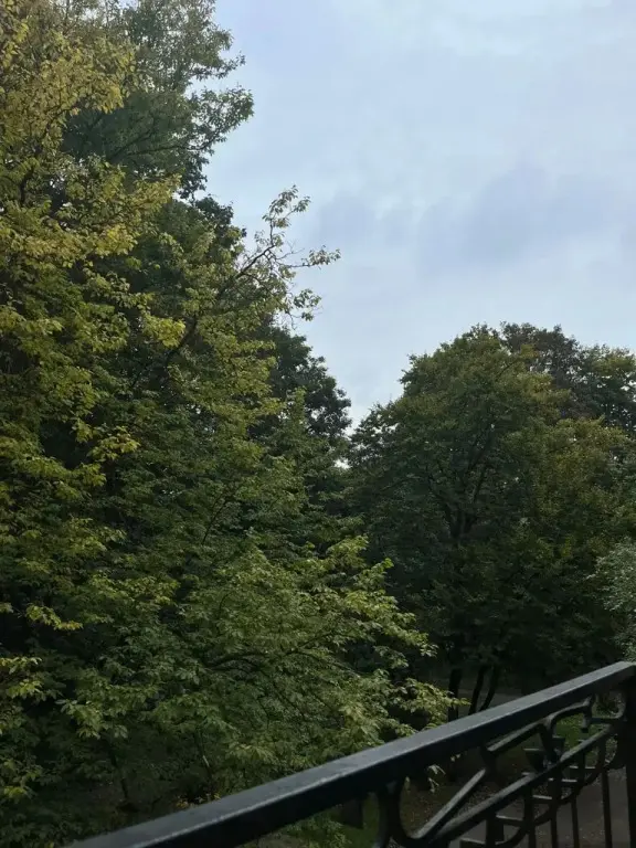Калининград: Квартира у Центрального парка