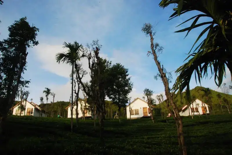 Велламундра: Tea Terrace Vythiri Resort