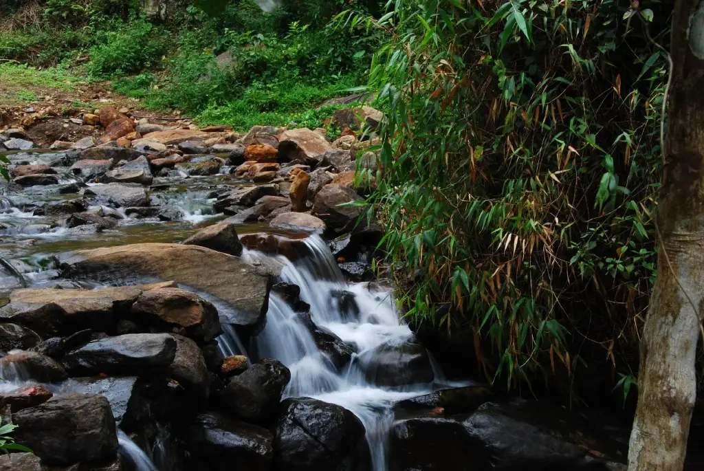 Велламундра: Tea Terrace Vythiri Resort