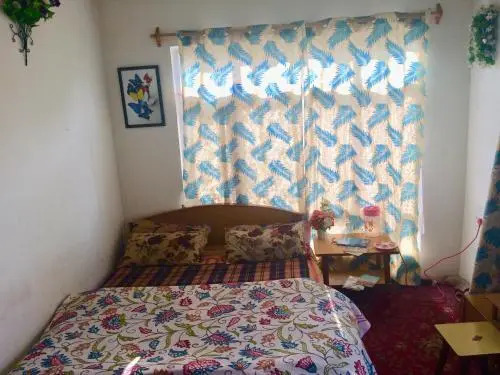 Шринагар: New World Guest House