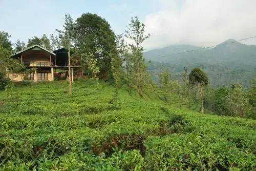 Султан-Батери: Tea Garden Holiday Home