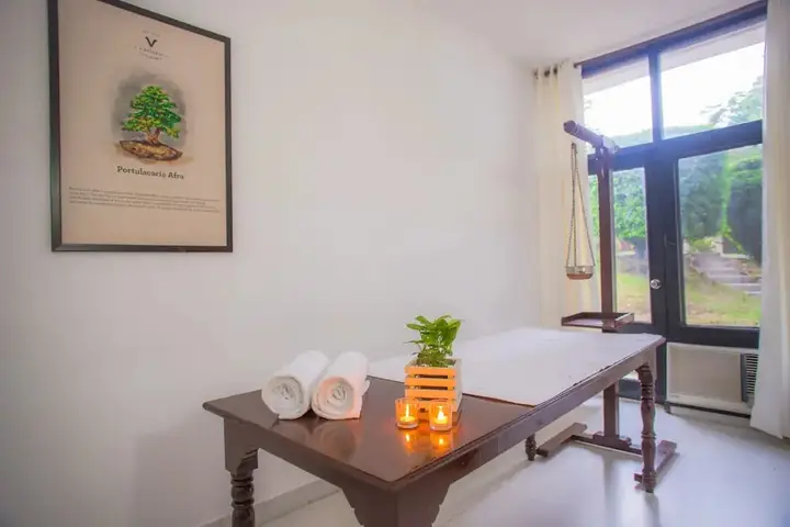 Нью-Дели: V Resorts Delhi Farm Stay