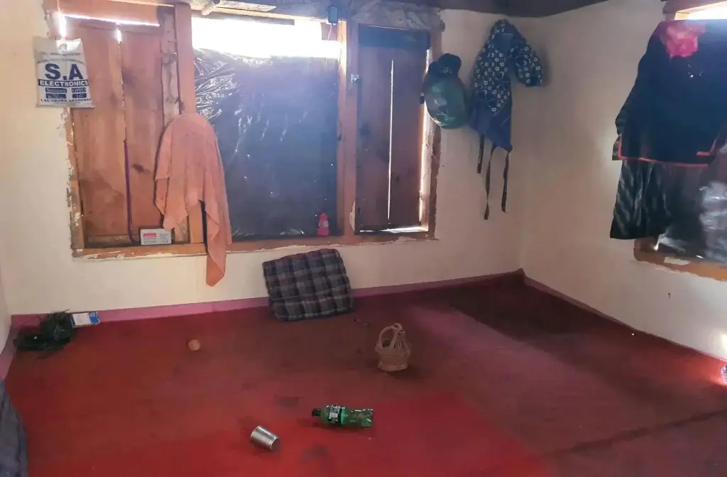 Шринагар: Sheen Guest House
