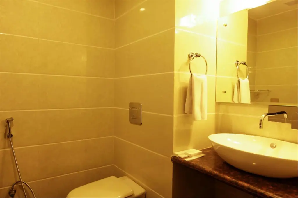 Нью-Дели: Airport Hotel Atlantic Palace