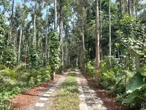 Султан-Батери: Wayanad Lux Inn