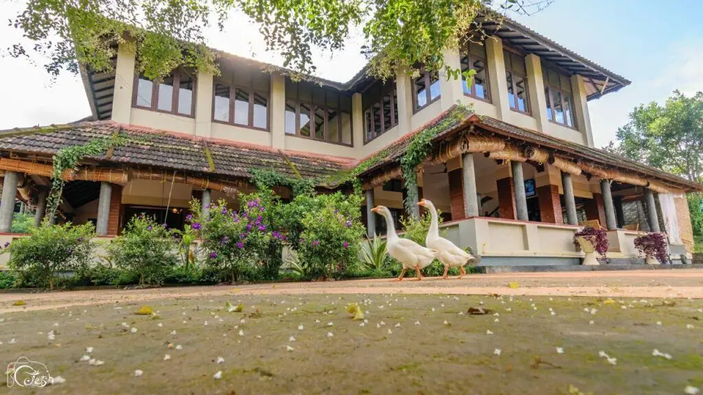 Wayanad Village Resort — фото 1