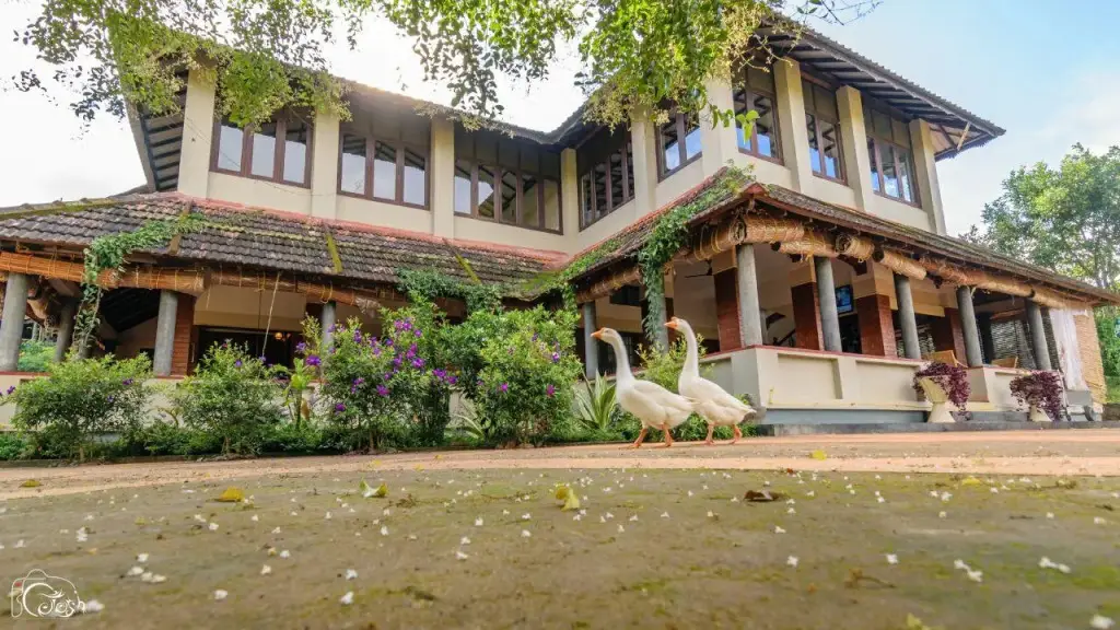Велламундра: Wayanad Village Resort