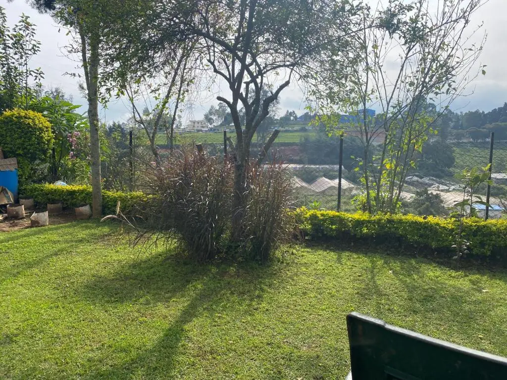 Ути: Golf Dale Holiday Resort
