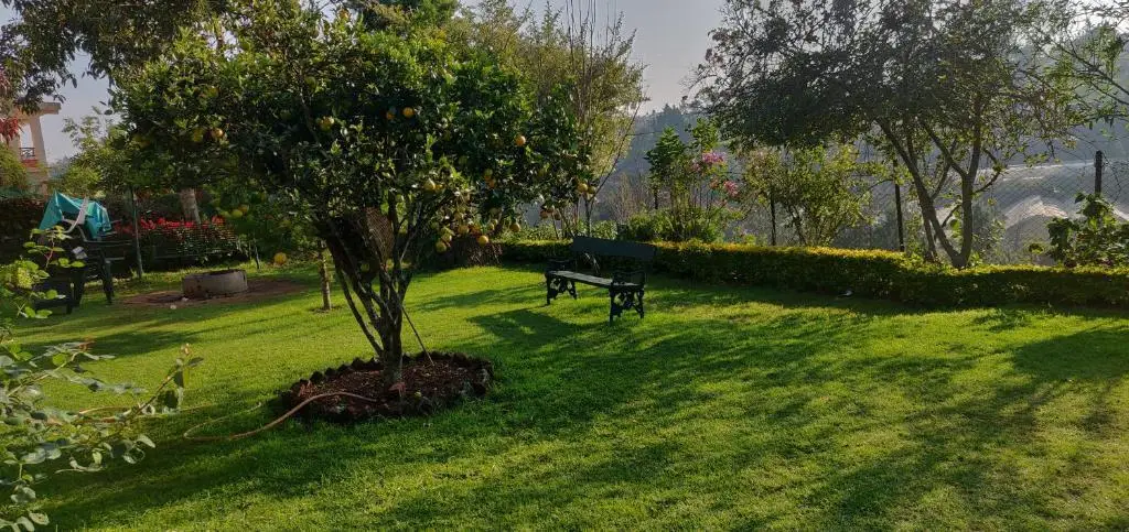 Ути: Golf Dale Holiday Resort