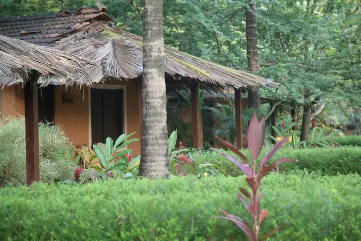 Даворлим: Nature's Nest