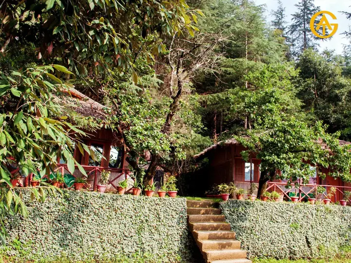 Куфри: Evaan Resorts Oakwood Hamlet Shoghi
